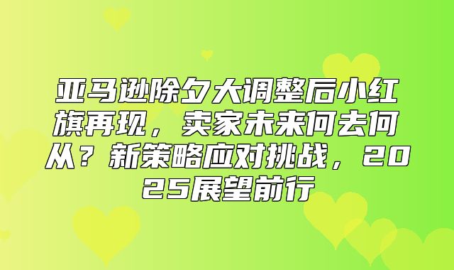 亚马逊除夕大调整后小红旗再现，卖家未来何去何从？新策略应对挑战，2025展望前行