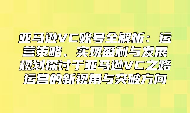 亚马逊VC账号全解析：运营策略、实现盈利与发展规划探讨于亚马逊VC之路运营的新视角与突破方向