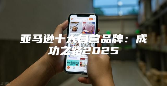 亚马逊十大自营品牌：成功之路2025