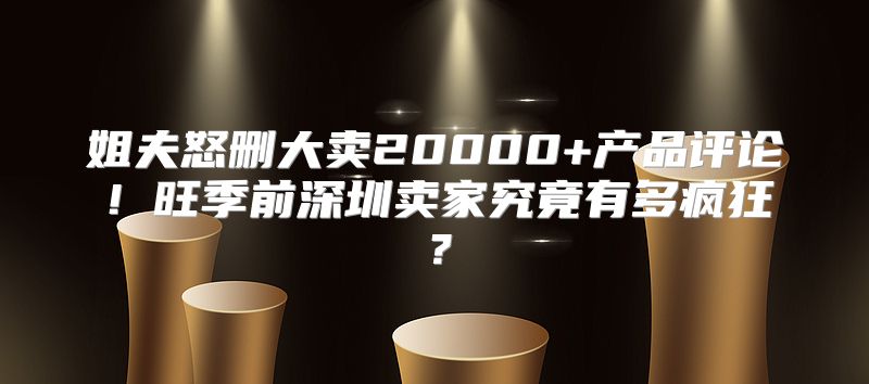姐夫怒删大卖20000+产品评论！旺季前深圳卖家究竟有多疯狂？