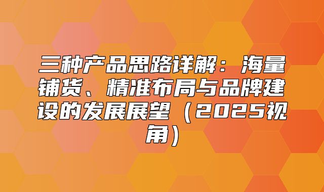 三种产品思路详解：海量铺货、精准布局与品牌建设的发展展望2025视角