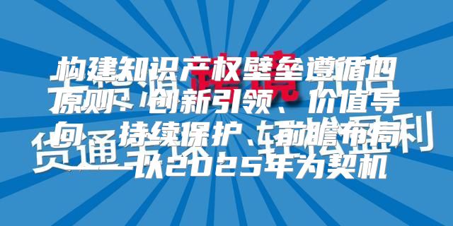 构建知识产权壁垒遵循四原则：创新引领、价值导向、持续保护、前瞻布局——以2025年为契机
