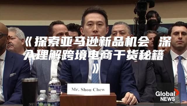 探索亚马逊新品机会深入理解跨境电商干货秘籍