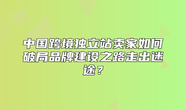 中国跨境独立站卖家如何破局品牌建设之路走出迷途？