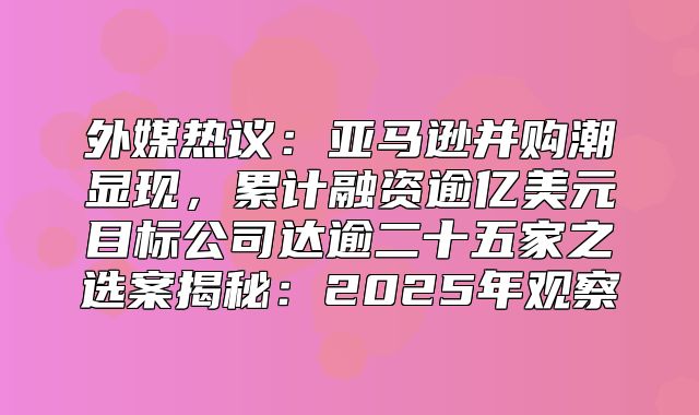 外媒热议：亚马逊并购潮显现，累计融资逾亿美元目标公司达逾二十五家之选案揭秘：2025年观察