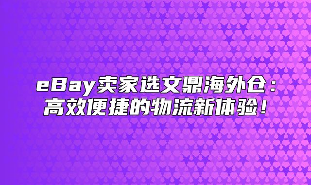 eBay卖家选文鼎海外仓：高效便捷的物流新体验！