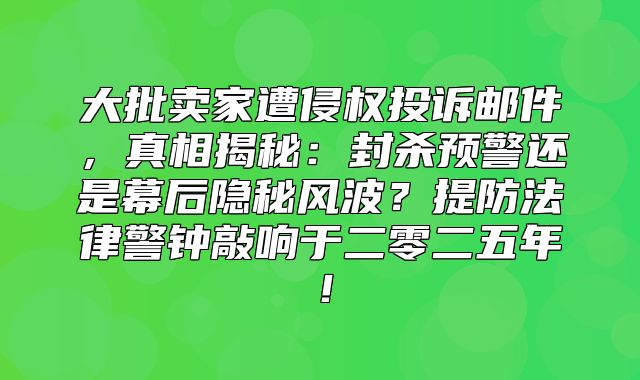 大批卖家遭侵权投诉邮件，真相揭秘：封杀预警还是幕后隐秘风波？提防法律警钟敲响于二零二五年！