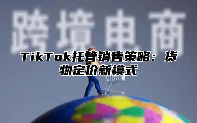 TikTok托管销售策略：货物定价新模式