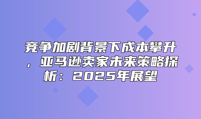 竞争加剧背景下成本攀升，亚马逊卖家未来策略探析：2025年展望