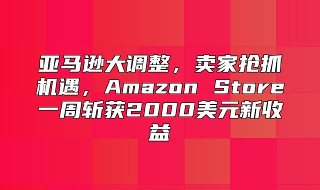 亚马逊大调整，卖家抢抓机遇，Amazon Store一周斩获2000美元新收益