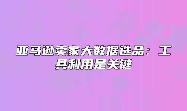 亚马逊卖家大数据选品：工具利用是关键