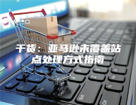 干货：亚马逊未覆盖站点处理方式指南