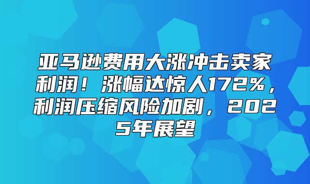 亚马逊费用大涨冲击卖家利润！涨幅达惊人172%，利润压缩风险加剧，2025年展望