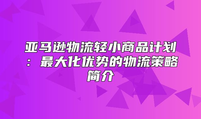 亚马逊物流轻小商品计划：最大化优势的物流策略简介