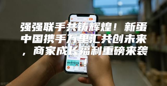 强强联手共铸辉煌！新蛋中国携手万里汇共创未来，商家成长福利重磅来袭！