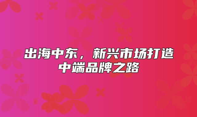 出海中东，新兴市场打造中端品牌之路