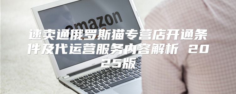 速卖通俄罗斯猫专营店开通条件及代运营服务内容解析 2025版