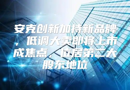 安克创新加持新品牌，低调大卖即将上市成焦点，位居第二大股东地位