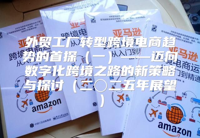外贸工厂转型跨境电商趋势的首探一——迈向数字化跨境之路的新策略与探讨二〇二五年展望