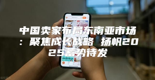 中国卖家布局东南亚市场：聚焦成长战略 扬帆2025蓄势待发