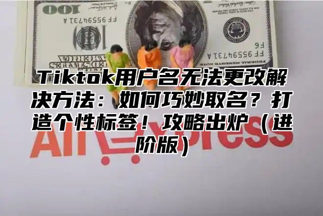 Tiktok用户名无法更改解决方法：如何巧妙取名？打造个性标签！攻略出炉进阶版