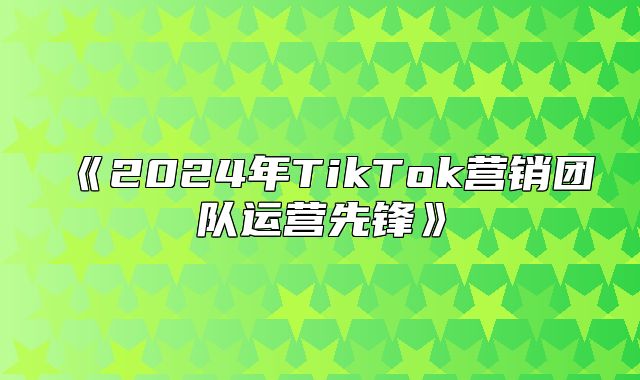 2025年TikTok营销团队运营先锋