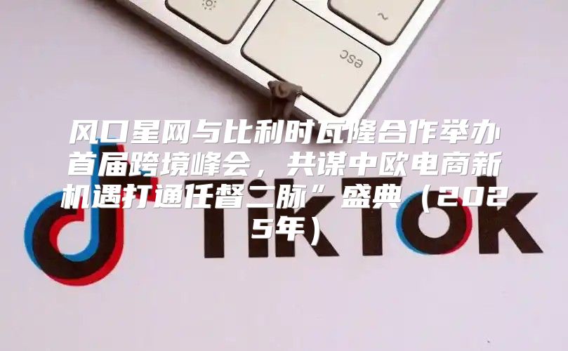 风口星网与比利时瓦隆合作举办首届跨境峰会，共谋中欧电商新机遇打通任督二脉”盛典2025年