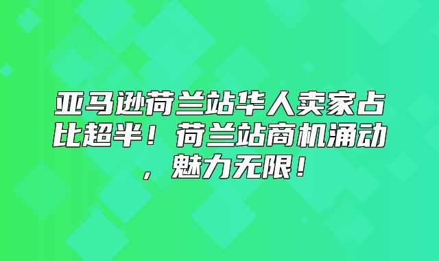 亚马逊荷兰站华人卖家占比超半！荷兰站商机涌动，魅力无限！