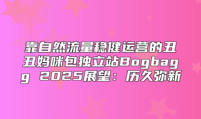 靠自然流量稳健运营的丑丑妈咪包独立站Bogbagg 2025展望：历久弥新