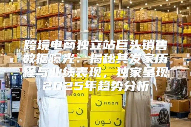 跨境电商独立站巨头销售数据曝光：揭秘其发家历程与业绩表现，独家呈现2025年趋势分析