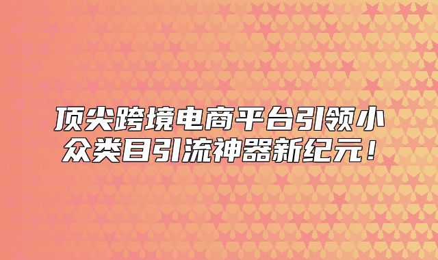 顶尖跨境电商平台引领小众类目引流神器新纪元！