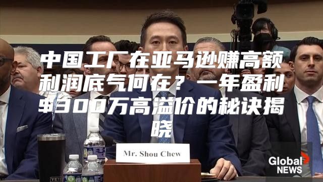 中国工厂在亚马逊赚高额利润底气何在？一年盈利$300万高溢价的秘诀揭晓