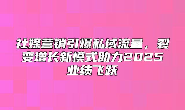 社媒营销引爆私域流量，裂变增长新模式助力2025业绩飞跃
