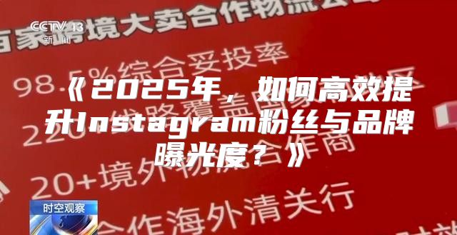 2025年，如何高效提升Instagram粉丝与品牌曝光度？