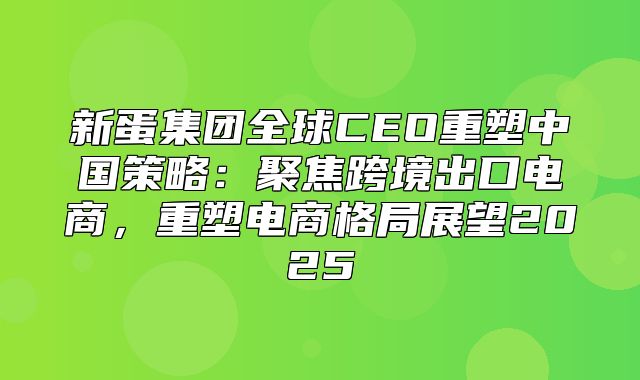 新蛋集团全球CEO重塑中国策略：聚焦跨境出口电商，重塑电商格局展望2025