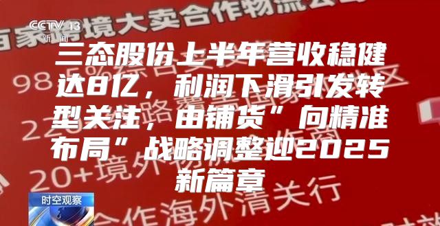 三态股份上半年营收稳健达8亿，利润下滑引发转型关注，由铺货”向精准布局”战略调整迎2025新篇章