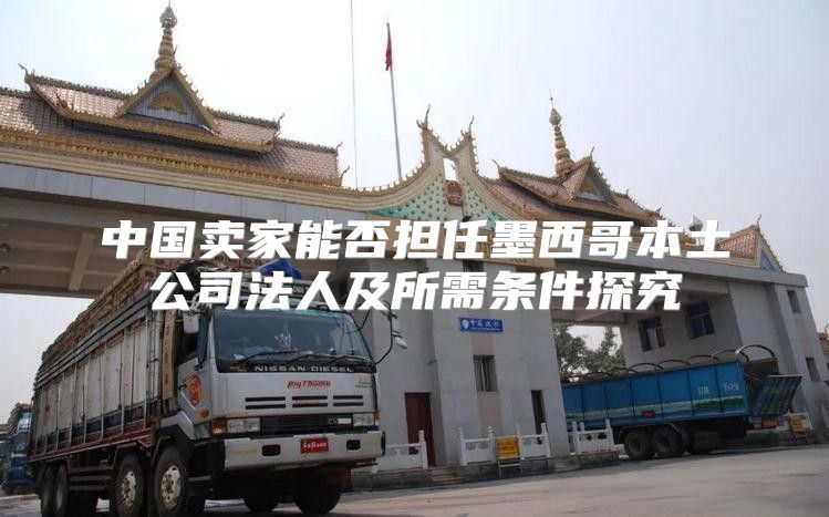 中国卖家能否担任墨西哥本土公司法人及所需条件探究