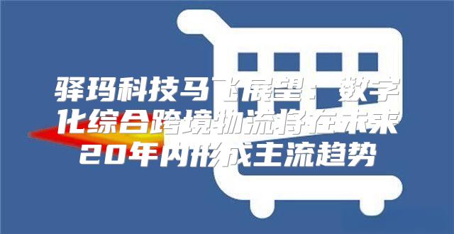 驿玛科技马飞展望：数字化综合跨境物流将在未来20年内形成主流趋势