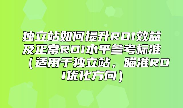 独立站如何提升ROI效益及正常ROI水平参考标准适用于独立站，瞄准ROI优化方向