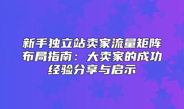 新手独立站卖家流量矩阵布局指南：大卖家的成功经验分享与启示