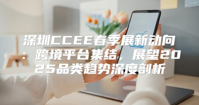 深圳CCEE春季展新动向：跨境平台集结，展望2025品类趋势深度剖析