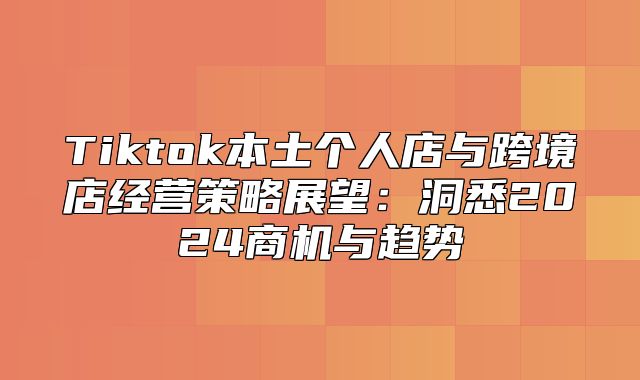 Tiktok本土个人店与跨境店经营策略展望：洞悉2025商机与趋势