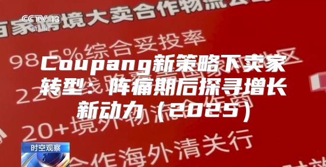 Coupang新策略下卖家转型：阵痛期后探寻增长新动力2025