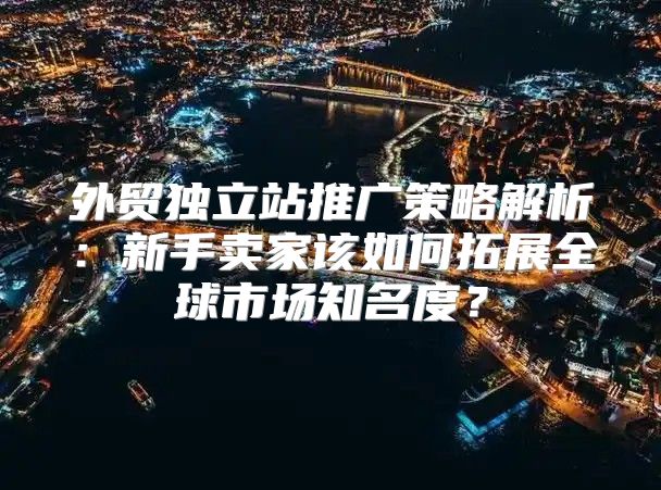 外贸独立站推广策略解析：新手卖家该如何拓展全球市场知名度？