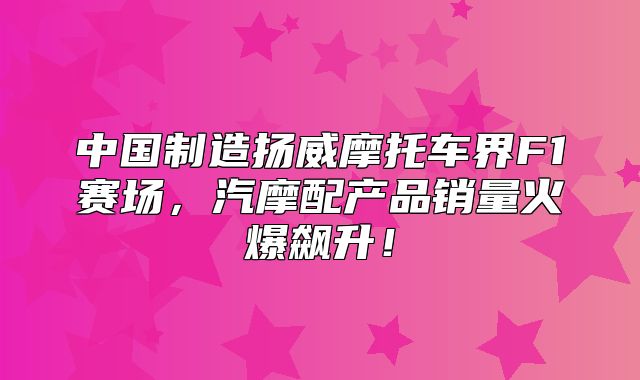 中国制造扬威摩托车界F1赛场，汽摩配产品销量火爆飙升！