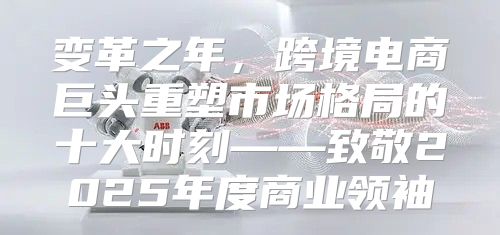 变革之年，跨境电商巨头重塑市场格局的十大时刻——致敬2025年度商业领袖
