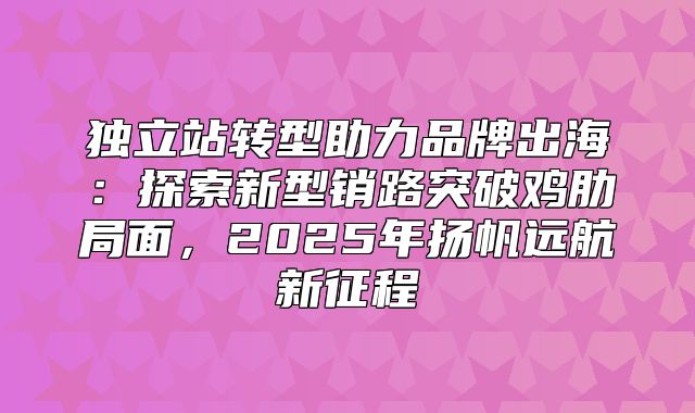 独立站转型助力品牌出海：探索新型销路突破鸡肋局面，2025年扬帆远航新征程