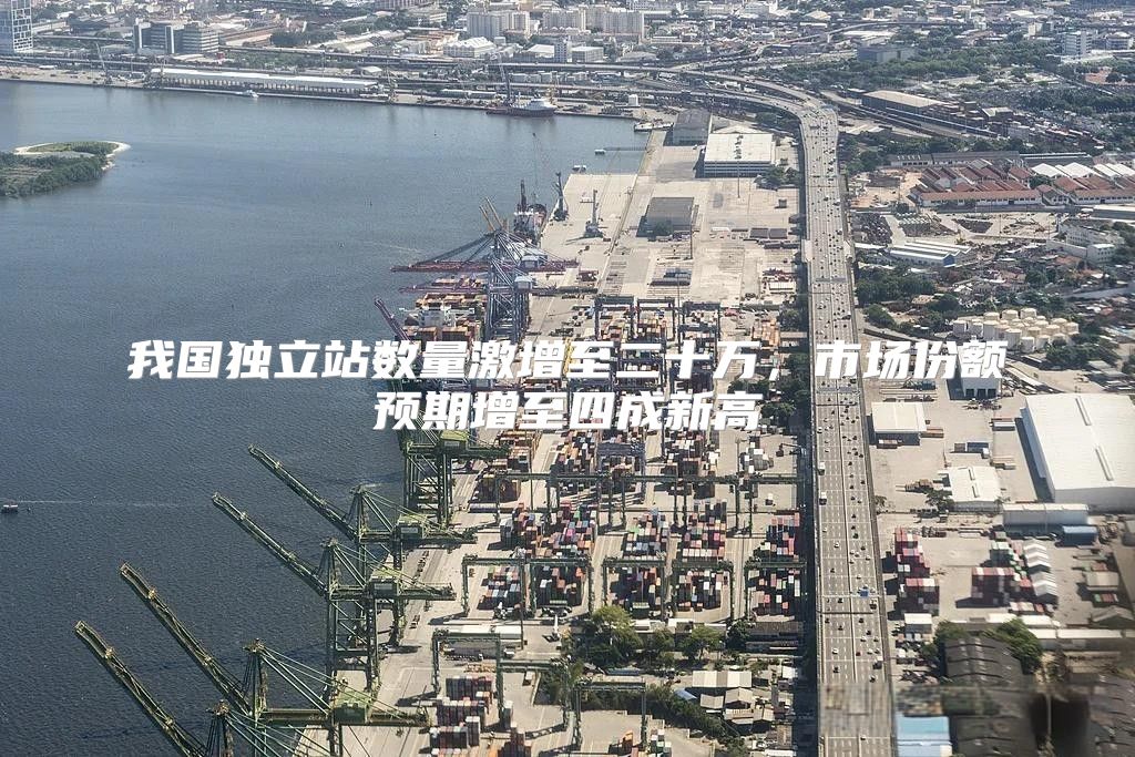 我国独立站数量激增至二十万，市场份额预期增至四成新高