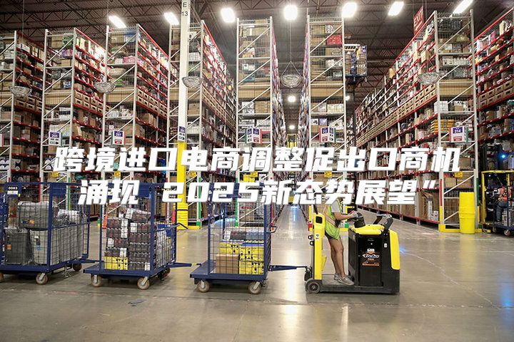 跨境进口电商调整促出口商机涌现 2025新态势展望”
