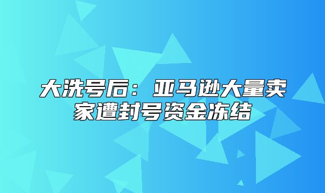 大洗号后：亚马逊大量卖家遭封号资金冻结